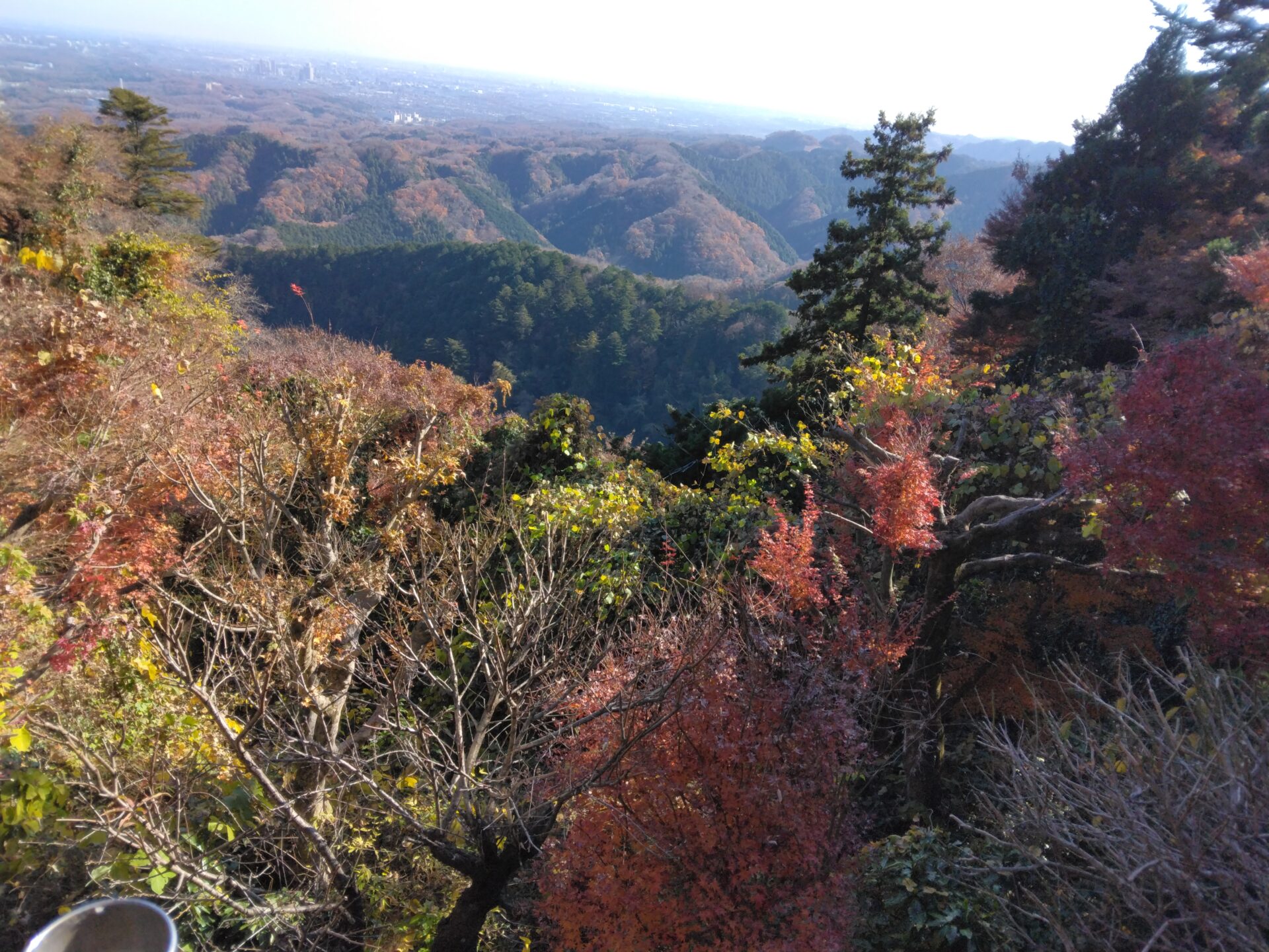 高尾山 紅葉 ケーブルカーで山頂に行って紅葉を見ながら軽く一杯。ケーブルカーでまた戻り、美味しい珈琲と饅頭で一服です。