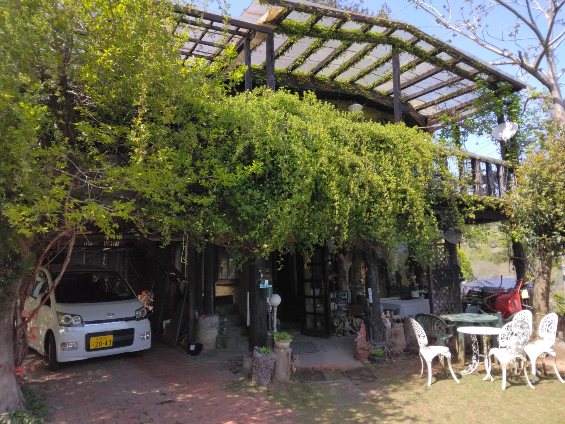 巾着田、日和田山を無視してのコースです。埼玉県日高市高麗の満喫コースです。素敵なモッコウバラが見れなく次回が楽しみです。