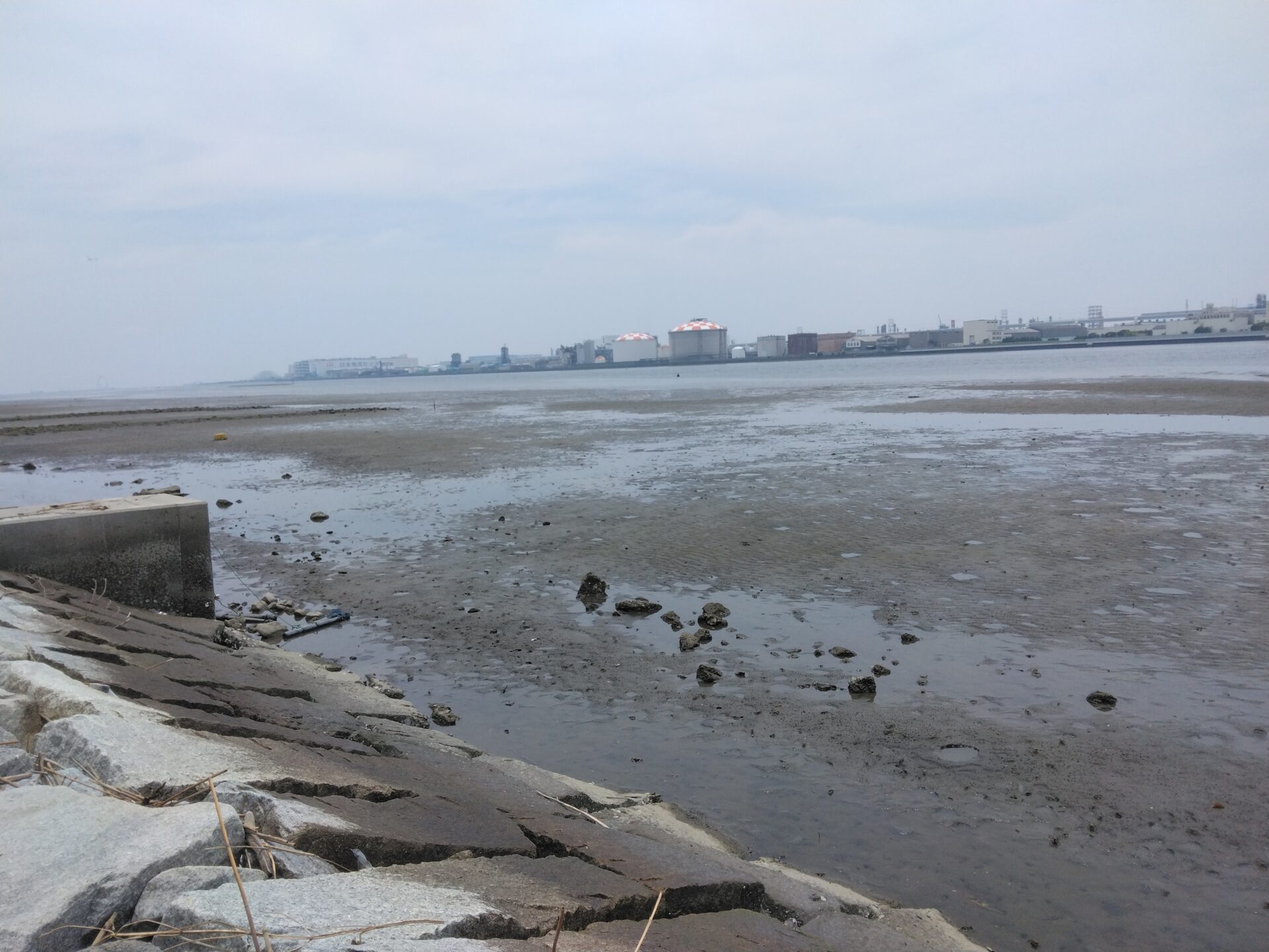 多摩川河口　潮干狩り　羽田空港第３ターミナルデートです。羽田空港第３ターミナルから多摩川河口に出て潮干狩りです。お昼は羽田空港第３ターミナルでランチもカフェも楽しみます。
