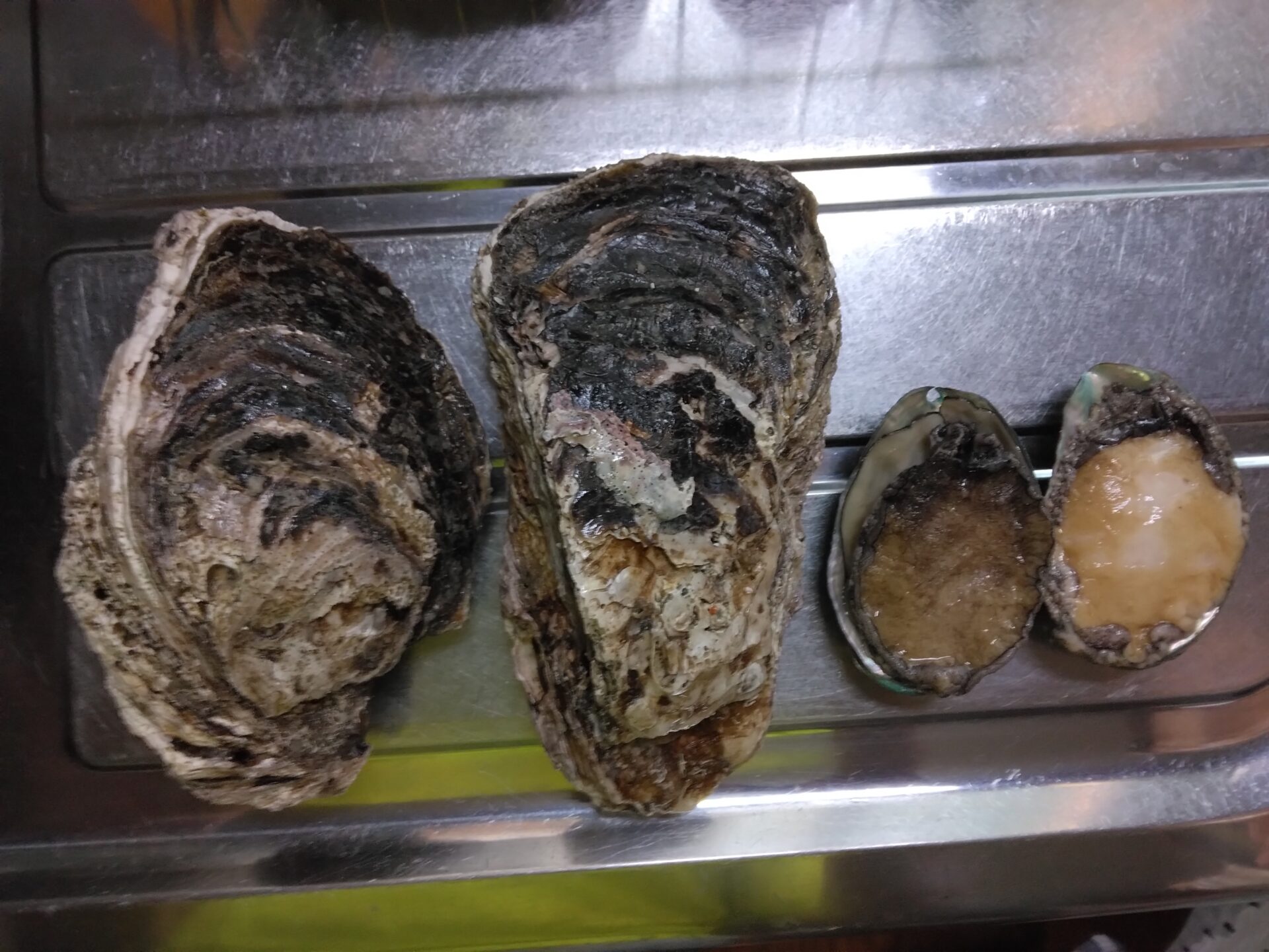 船橋市場で買い物です。もちろん海鮮丼が朝食です。立派な岩ガキが手に入り、にっこにこです。船橋市場から船橋駅の途中に野菜の自販機を見つけてしまいました。