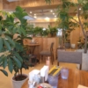 Thumbnail of new posts 073