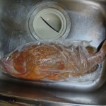 Thumbnail of post image 116