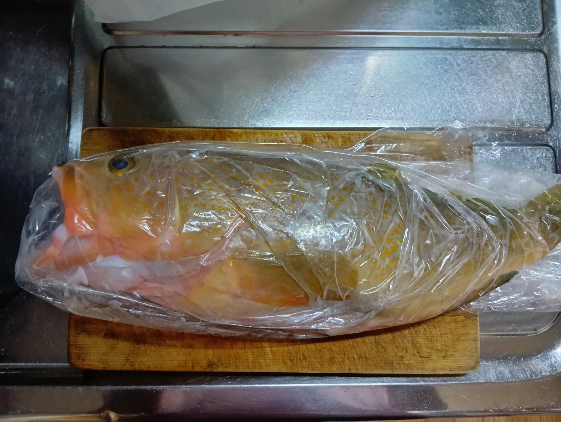 【船橋市場デート】買い物デビューで休日が激変!1.1kgの高級魚と絶品海鮮丼で過ごす、大人カップルの贅沢な一日 251220180450390